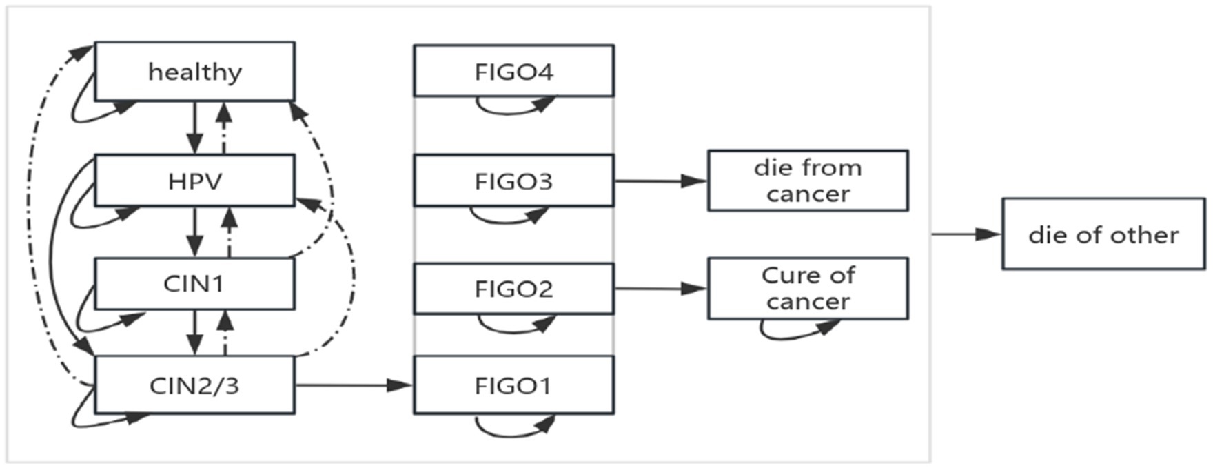 Flowchart depicting the progression of health states related to HPV. Arrows indicate transitions from