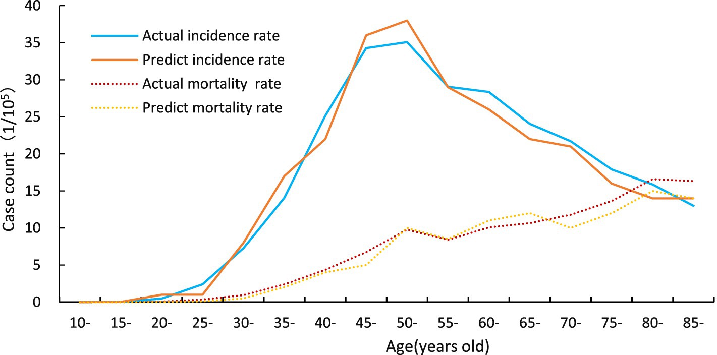 Line graph showing actual and predicted incidence and mortality rates across ages 10 to 85. The actual incidence rate (light blue) and predicted incidence rate (orange) peak around ages 45-50. Actual mortality rate (dotted red) and predicted mortality rate (dotted yellow) gradually increase, stabilizing around age 60.