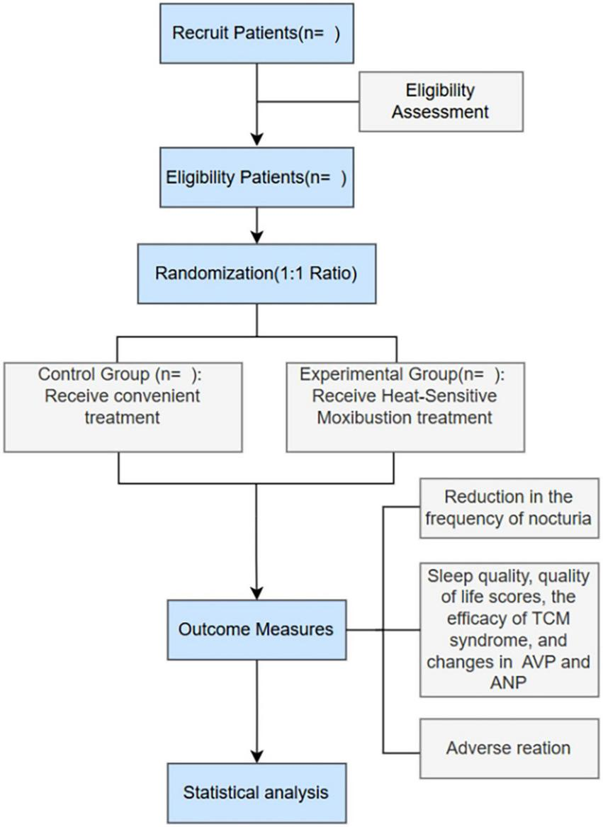 Flowchart depicting a clinical trial process. Patients are recruited and assessed for eligibility. Eligible patients are randomized into two groups: a control group receiving convenient treatment and an experimental group receiving heat-sensitive moxibustion treatment. Outcome measures include reduction in nocturia frequency, sleep quality, quality of life scores, efficacy of TCM syndrome, changes in AVP and ANP, and adverse reactions. The process concludes with statistical analysis.