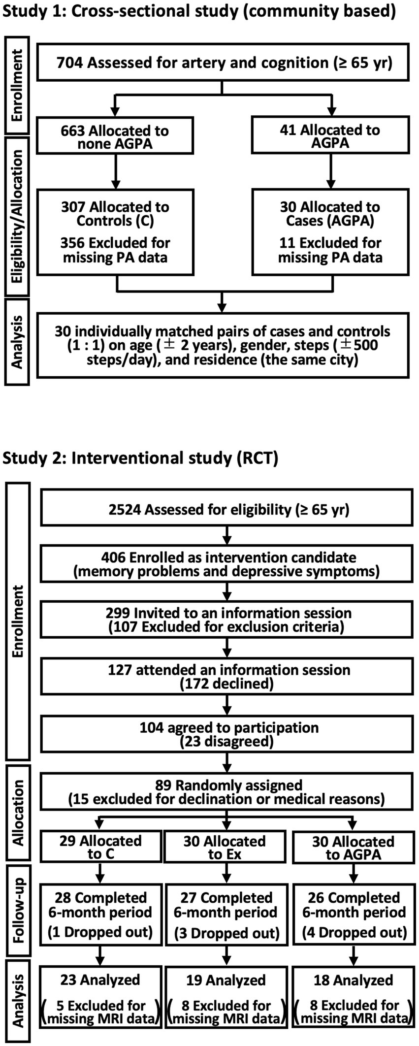 Flowchart depicting two studies on participants aged sixty-five and older. Study 1 is a cross-sectional study with 704 assessed, leading to 30 matched pairs analyzed, segregated into cases and controls based on specific criteria. Study 2 is an interventional study with 2,524 assessed for eligibility, eventually resulting in 89 participants randomly assigned into three groups, completing and analyzing a six-month period with some exclusions due to missing MRI data.