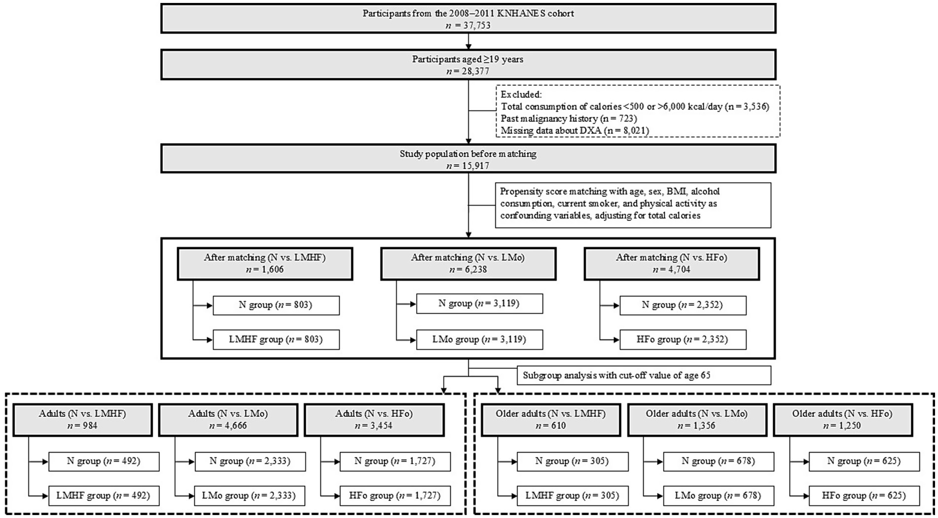 Flowchart describing participant selection and subgroup analysis from the 2008-2011 KNHANES cohort. Initial participants: 37,753. Participants aged 19 and above: 28,377. Exclusions include calorie consumption, malignancy history, and missing DXA data, reducing to 15,917. Propensity score matching resulted in three groups: N vs. LMHF (1,606 participants), N vs. LMo (6,238), and N vs. HFo (4,704). Subgroup analysis was done with cut-off age 65, further dividing into adults and older adults for each group comparison.