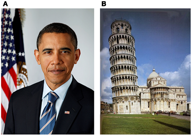 Figure 1 - Examples of A) famous faces and B) landmarks.