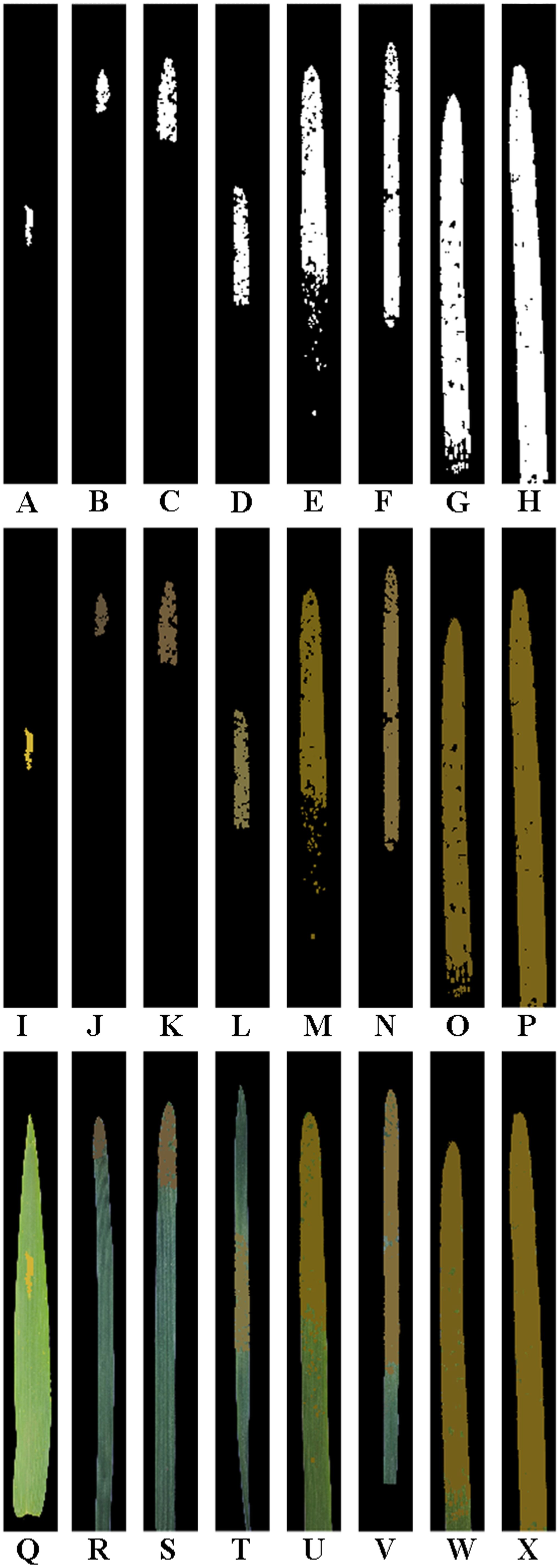 www.frontiersin.org