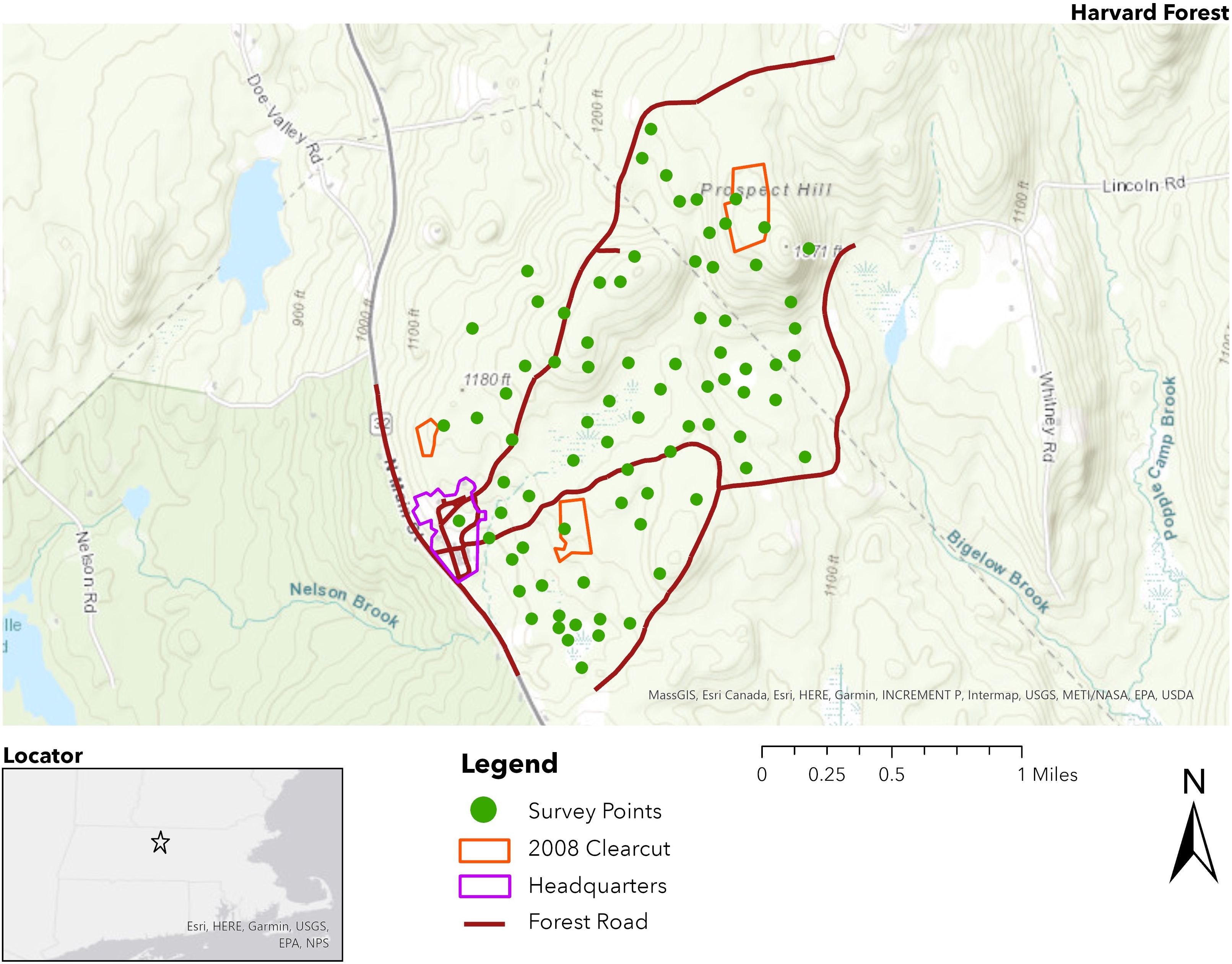 Map of Harvard Forest showing survey points marked with green dots, 2008 clearcut areas outlined in orange, headquarters in purple, and forest roads in red. Includes a scale and compass rose. A locator map indicates the area within the northeastern United States.