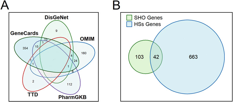 Panel A shows a Venn diagram comparing gene data from GeneCards, DisGeNet, OMIM, TTD, and PharmGKB. Shared numbers indicate overlapping gene sets among these databases. Panel B displays a Venn diagram of SHO genes and HSS genes, with overlap representing shared genes.