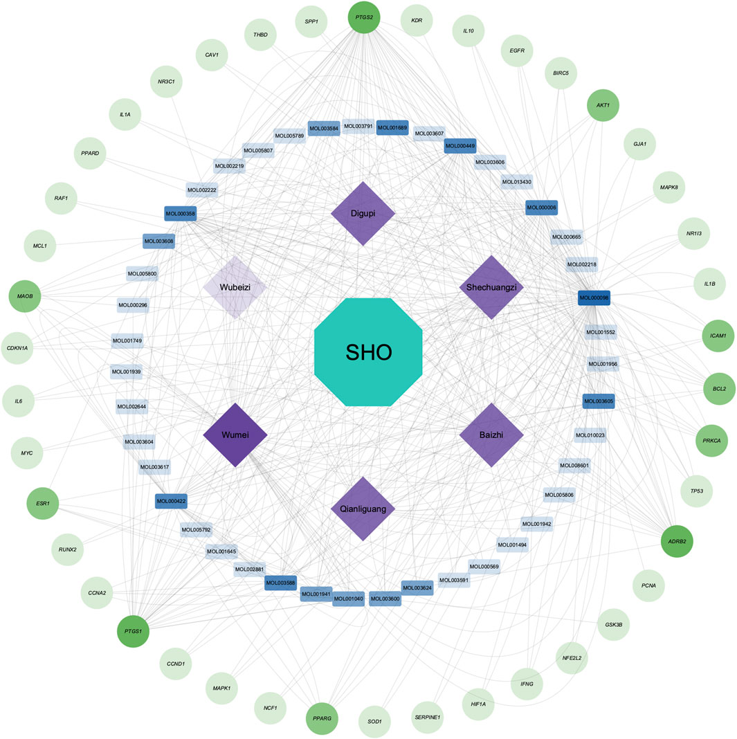 Network diagram featuring a central teal octagon labeled