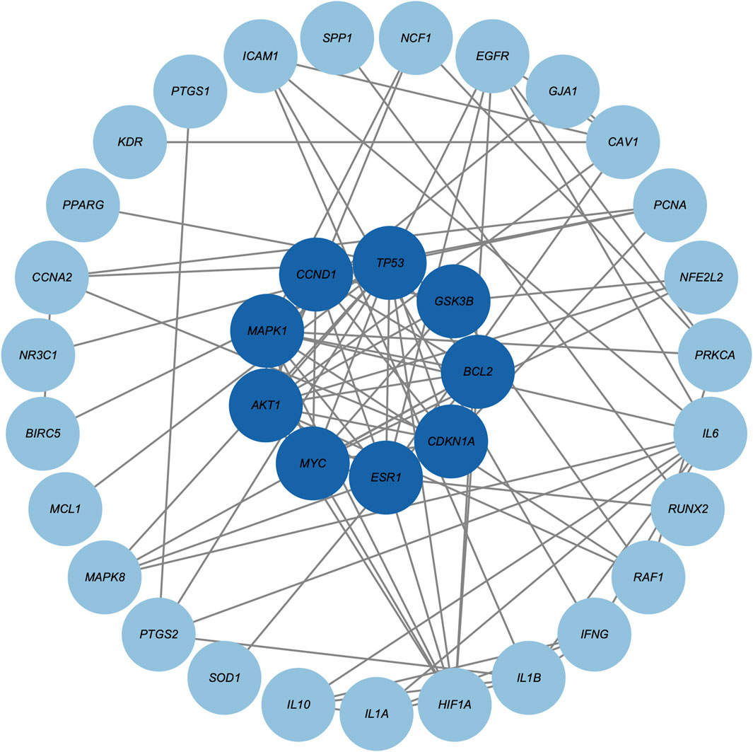 Network diagram showing interactions between proteins involved in a biological pathway. Inner circle nodes, in dark blue, include TP53, CCND1, GSK3B, among others. Outer circle nodes, in light blue, feature ICAM1, EGFR, and IL6. Lines connect nodes, indicating interactions.