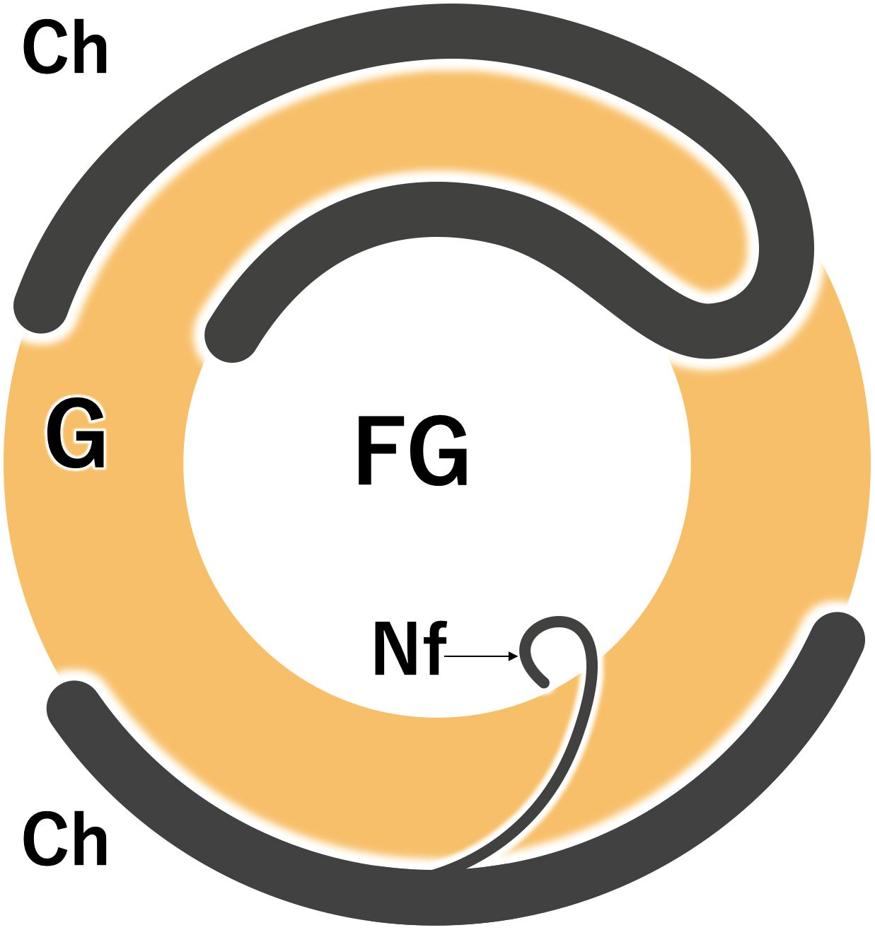 www.frontiersin.org