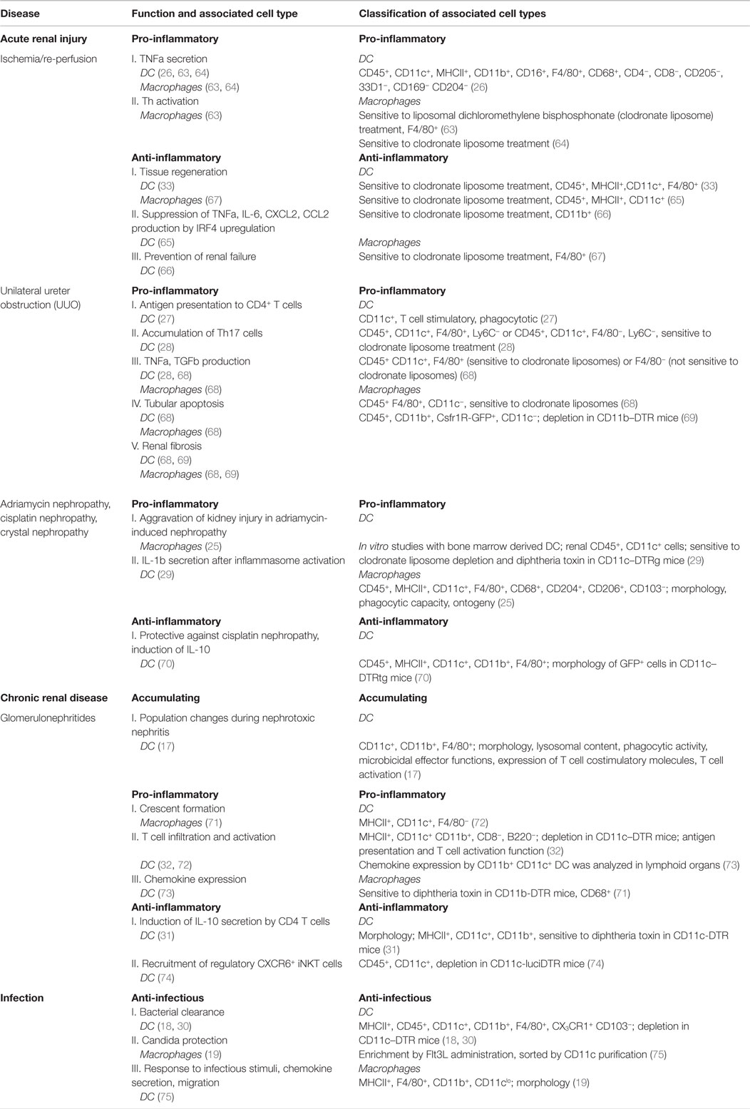 Frontiers | The Debate about Dendritic Cells and Macrophages in the Kidney