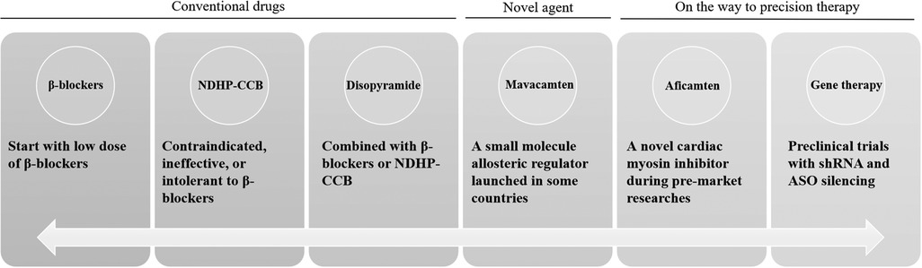 Diagram illustrating drug evolution from conventional to precision therapy. It starts with conventional drugs: β-blockers (low dose advised), NDHP-CCB (for β-blocker intolerance), and Disopyramide (combined with others). Novel agents include Mavacamten, an allosteric regulator, and Aficamten, a myosin inhibitor. Precision therapy involves gene therapy with shRNA and ASO silencing in preclinical trials.