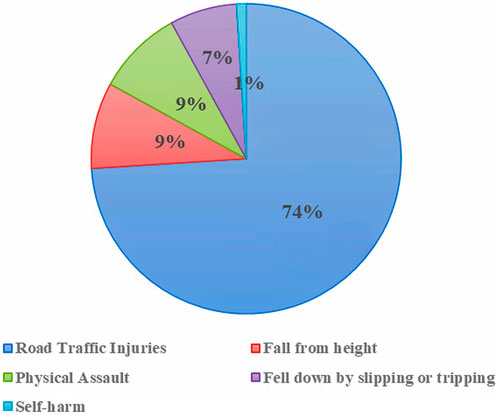 Pie chart depicting causes of injuries: 74% from road traffic injuries, 9% each for falls from height and physical assault, 7% for self-harm, and 1% for slipping or tripping.