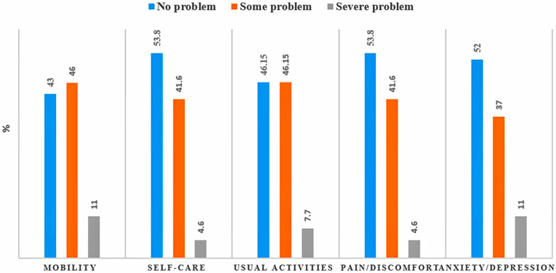 Bar chart comparing percentages of problems in five categories: mobility, self-care, usual activities, pain/discomfort, and anxiety/depression. Each category shows percentages for