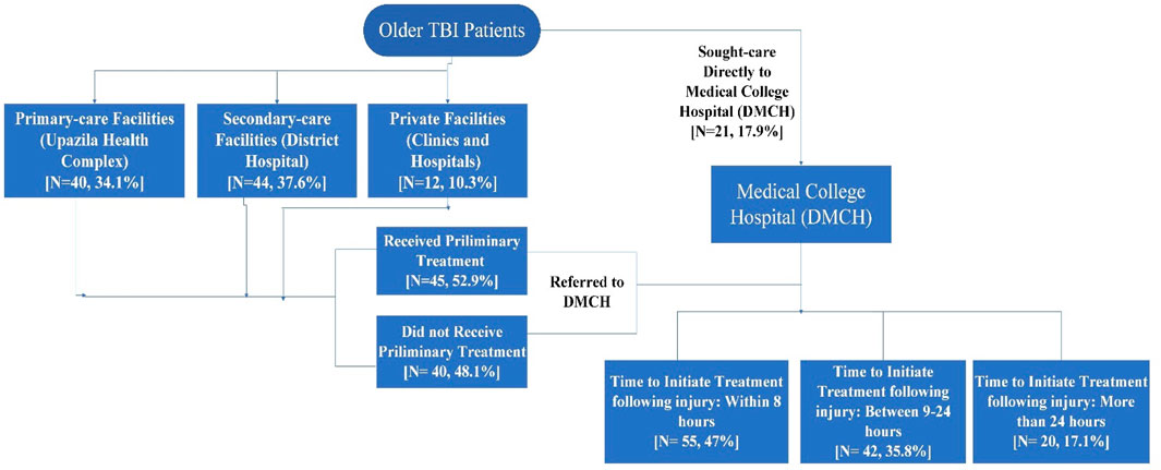 Flowchart illustrating the healthcare-seeking behavior of older TBI patients. Patients initially attended primary-care facilities (34.1 percent), secondary-care facilities (37.6 percent), or private facilities (10.3 percent). Some sought care directly at Medical College Hospital (DMCH) (17.9 percent). Preliminary treatment was received by 52.9 percent, with 48.1 percent not receiving it. Patients were then referred to DMCH. Treatment initiation timing post-injury is displayed: within eight hours (47 percent), between nine and twenty-four hours (35.8 percent), and after twenty-four hours (17.1 percent).