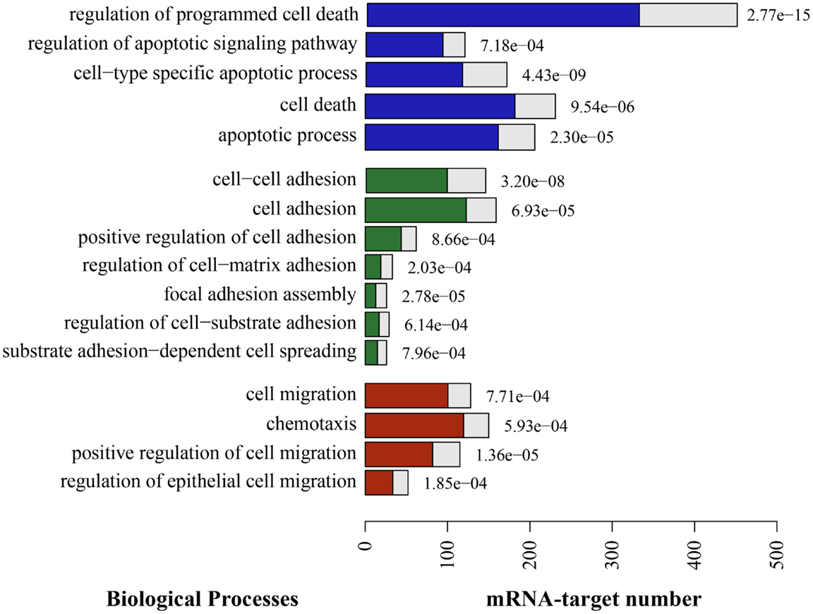 Frontiers  Comparative microRNA profiling of Trypanosoma cruzi infected  human cells