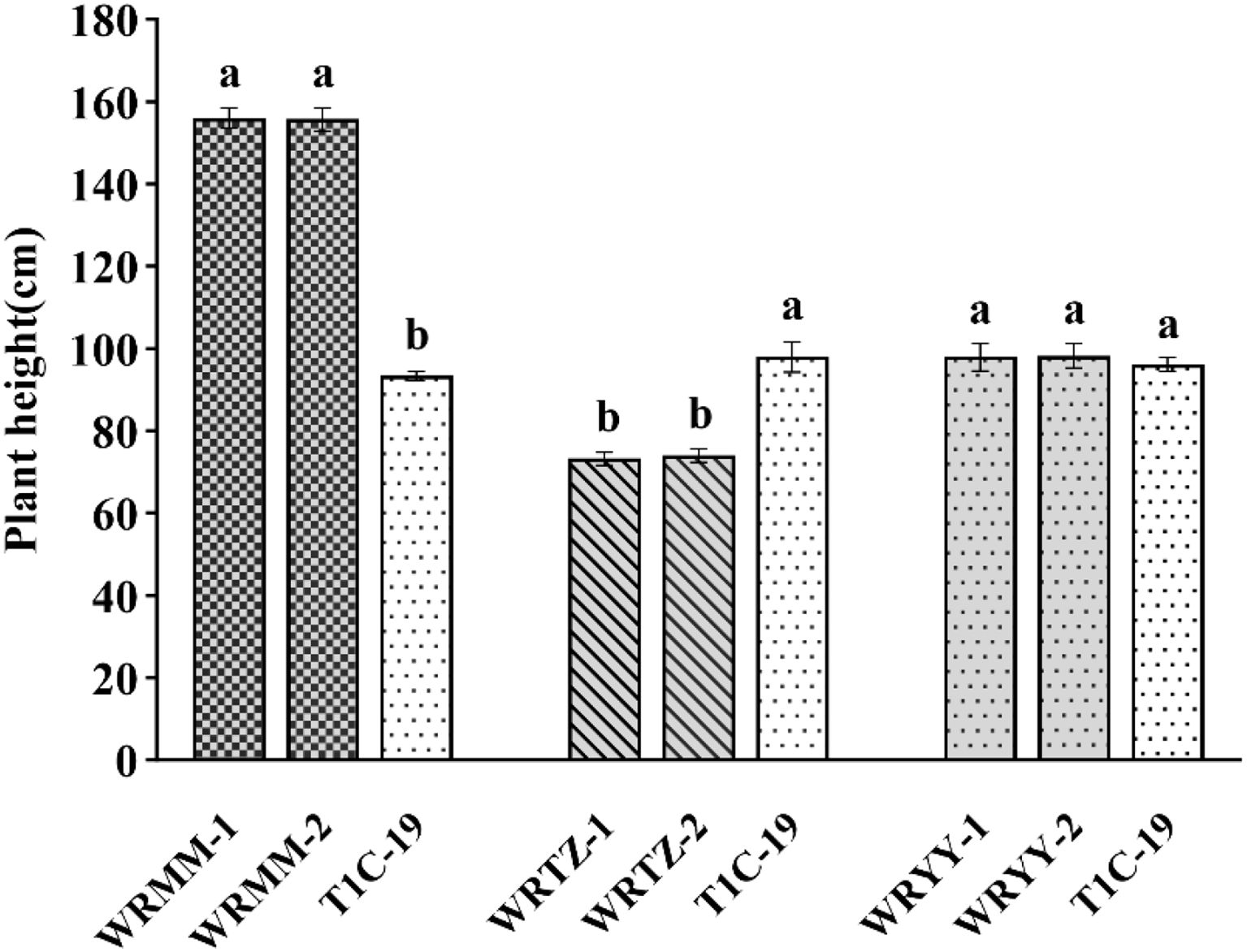 Bar chart showing plant height in centimeters for nine groups: WRMM-1, WRMM-2, T1C-19, WRTZ-1, WRTZ-2, T1C-19, WRYY-1, WRYY-2, and T1C-19. WRMM-1 and WRMM-2 have the tallest plants at approximately 160 cm, labeled 'a'. T1C-19 and WRTZ-2 have shorter plants, around 100 cm, labeled 'b'. WRYY-1, WRYY-2, and T1C-19 have heights around 150 cm, also labeled 'a'. Error bars are present.
