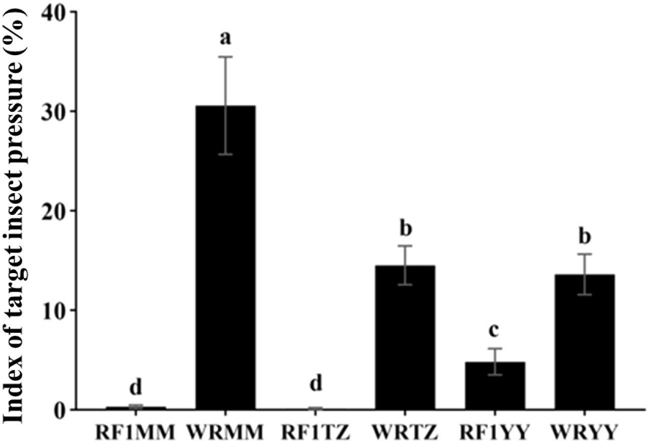 Bar graph showing the index of target insect pressure in percentages for six categories: RF1MM, WRMM, RF1TZ, WRTZ, RF1YY, and WRYY. WRMM has the highest pressure at over 30 percent, with RF1MM and RF1TZ being the lowest, under 5 percent. Error bars are included for each category. Different letters above bars indicate significant differences.