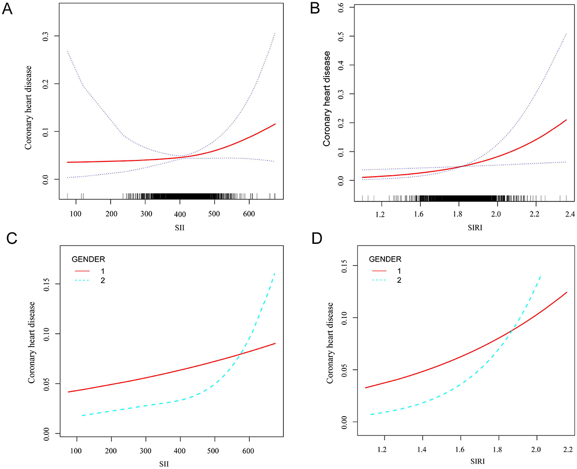 Graphs A and B show the relationship between Coronary Heart Disease (CHD) and systemic inflammation index (SII) and systemic immune-inflammation response index (SIRI), respectively, with increasing values corresponding to higher CHD risk. Graphs C and D show the probability of CHD in different genders for SII and SIRI. In both groups, the risk of CHD is higher in men than in women when the SII and SIRI at lower intervals. However, when the SII and SIRI values are high, the prevalence of CHD in women rises rapidly and exceeds that of men. Solid line 1 represents men, and dotted line 2 represents women.