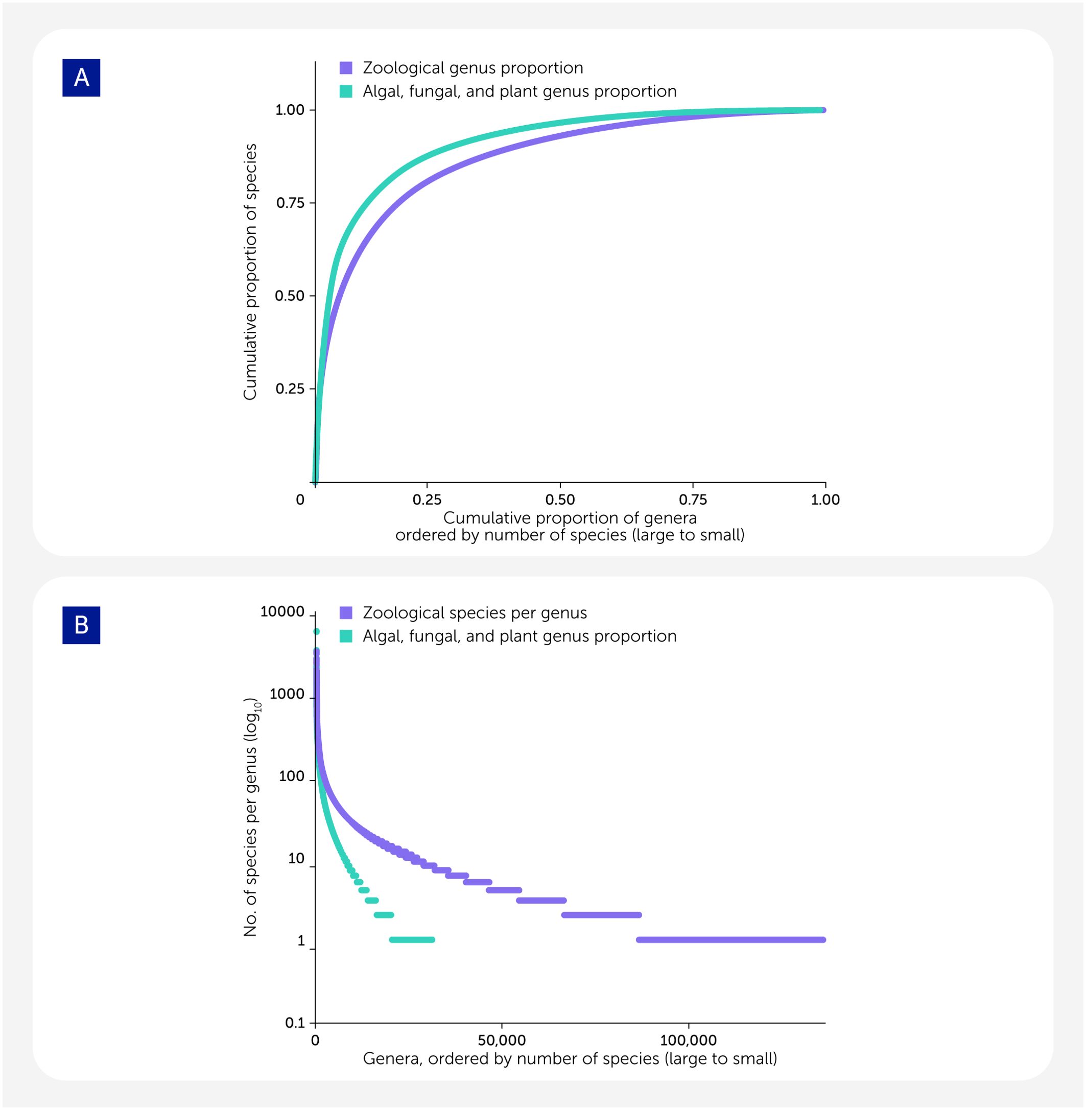 The figure has two panels illustrating the pattern of known biodiversity–the species that have been described–based on the Catalogue of Life database. Panel A is a line graph displaying cumulative species proportions against cumulative genus proportions for species described under the nomenclature codes for animals, and for algae, fungi and plants. Panel B is a log scale bar graph showing the count of species per genus versus genera, ordered by species count, comparing species described under the nomenclature codes for animals, and for algae, fungi and plants.
