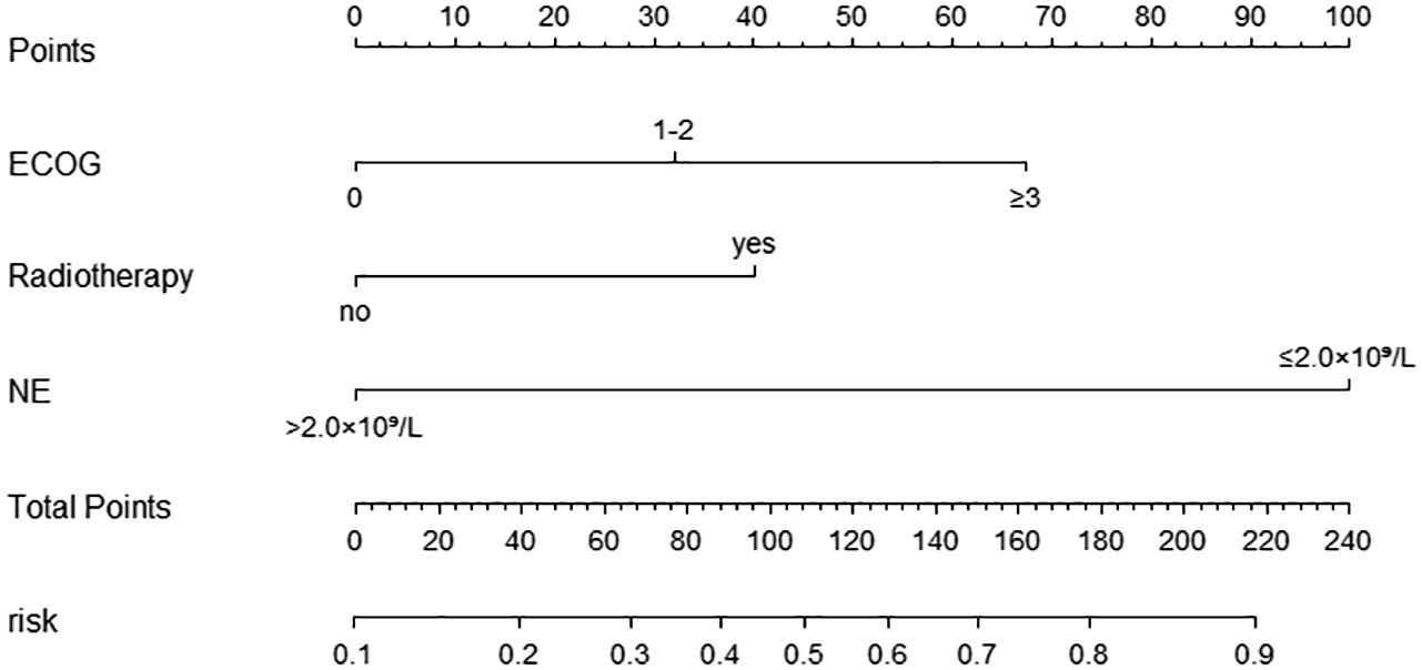Nomogram chart depicting relationships between points and various factors including ECOG status, radiotherapy, and NE levels, translating to total points and risk. Points range from zero to one hundred. ECOG categories are zero, one to two, and three or more. Radiotherapy is classified as yes or no, and NE levels are more than or less or equal to two times ten to the ninth per liter. Total points range from zero to two hundred forty, correlating with risk probabilities between 0.1 and 0.9.