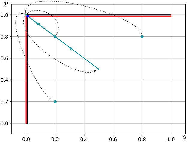 Graph with axes labeled p and q on a square grid (0.0–1.0). A red L-shaped line follows the lower and left borders of the plot. A dashed black path curves inward from the right, and three solid blue arrows indicate motion toward an arc-like, spiral pattern located in the upper-left portion of the panel. Three small turquoise dots are placed along the trajectory to indicate intermediate positions. No legend text is shown; color is used to distinguish the main line, the path, and arrows.