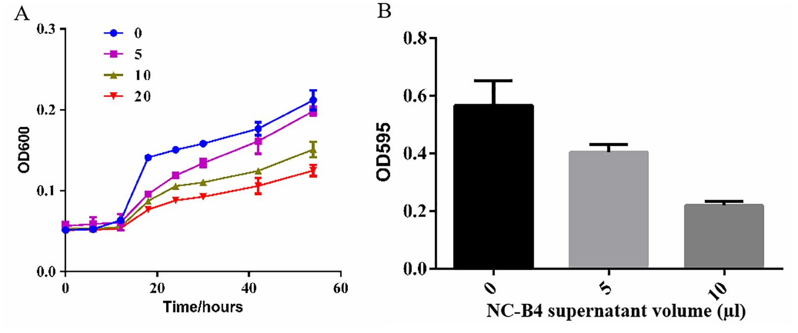 Panel A shows a line graph depicting OD600 measurements over time in hours for four conditions: 0, 5, 10, and 20 are represented by different colored lines. Panel B displays a bar graph of OD595 measurements for NC-B4 supernatant volumes of 0, 5, and 10 microliters, with decreasing values as volume increases. Each bar and line includes error bars.
