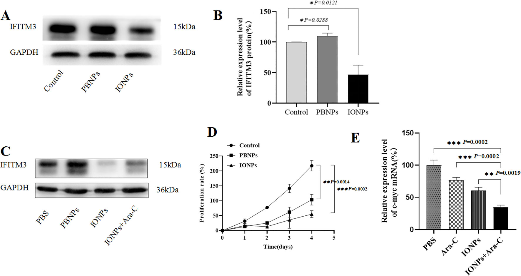 Western blot and histogram images related to IFITM3 and GAPDH protein and gene expression. Panel A shows IFITM3/GAPDH protein levels in Control, PBNPs, and IONPs groups. Panel B presents a bar graph of IFITM3 protein expression levels, highlighting statistical significance (P-values). Panel C displays similar protein levels in PBS, PBNPs, IONPs, and IONPs+Ara-C groups. Panel D is a line graph representing the proliferation rate over five days for different treatments, showing statistical significance. Panel E shows a bar graph of relative expression levels of c-myc mRNA for various conditions, with noted P-values indicating significance.