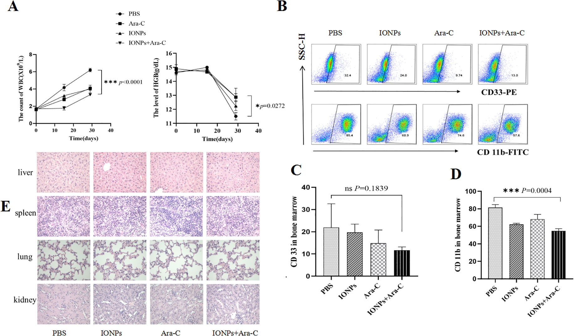 Graphs and images display the effects of treatments with PBS, Ara-C, IONPs, and IONPs plus Ara-C. Panel A shows line graphs of WBC count and HGB level over 40 days. Panel B contains flow cytometry plots for CD33 and CD11b expression. Panel C and D are bar graphs illustrating CD33 and CD11b levels in bone marrow. Panel E includes histological images of liver, spleen, lung, and kidney tissues under different treatments. Data indicate statistical significance where marked.