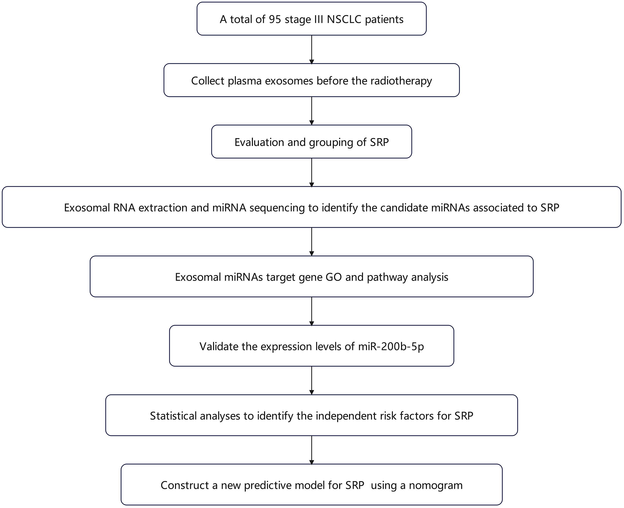 Flowchart depicting a study process involving 95 stage III NSCLC patients. Begins with plasma exosome collection before radiotherapy, followed by SRP evaluation and grouping. Exosomal RNA extraction and miRNA sequencing identify candidate miRNAs linked to SRP. Exosomal miRNAs undergo target gene GO and pathway analysis. Expression levels of miR-200b-5p are validated. Statistical analyses identify independent SRP risk factors. A predictive model for SRP is constructed using a nomogram.