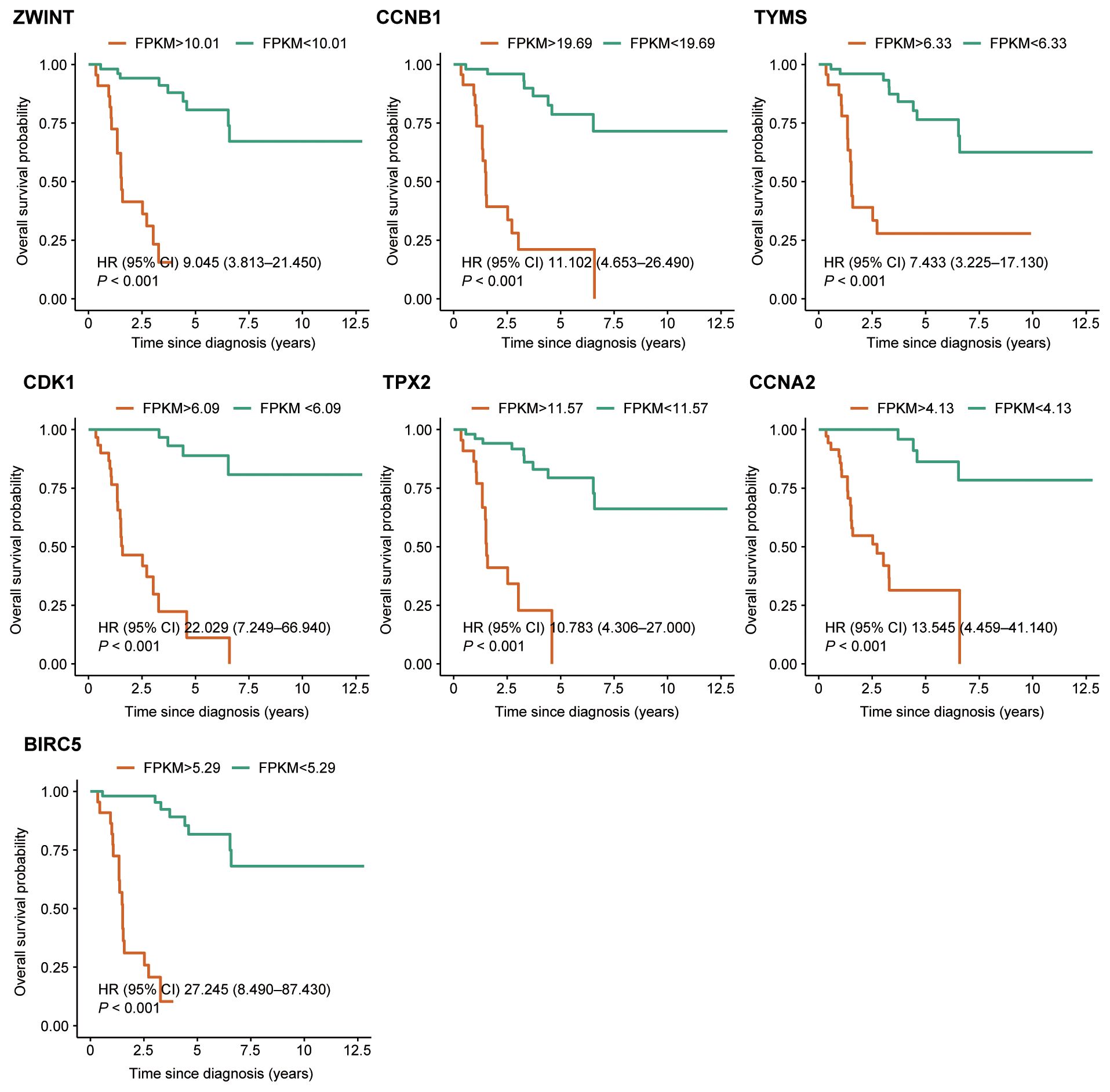 Kaplan-Meier survival curves for ZWINT, CCNB1, TYMS, CDK1, TPX2, CCNA2, and BIRC5 genes, illustrating overall survival probability over time since diagnosis. Each plot compares groups with higher and lower FPKM values. Hazard ratios (HR) and confidence intervals (CI) are provided, all showing statistical significance with P < 0.001.