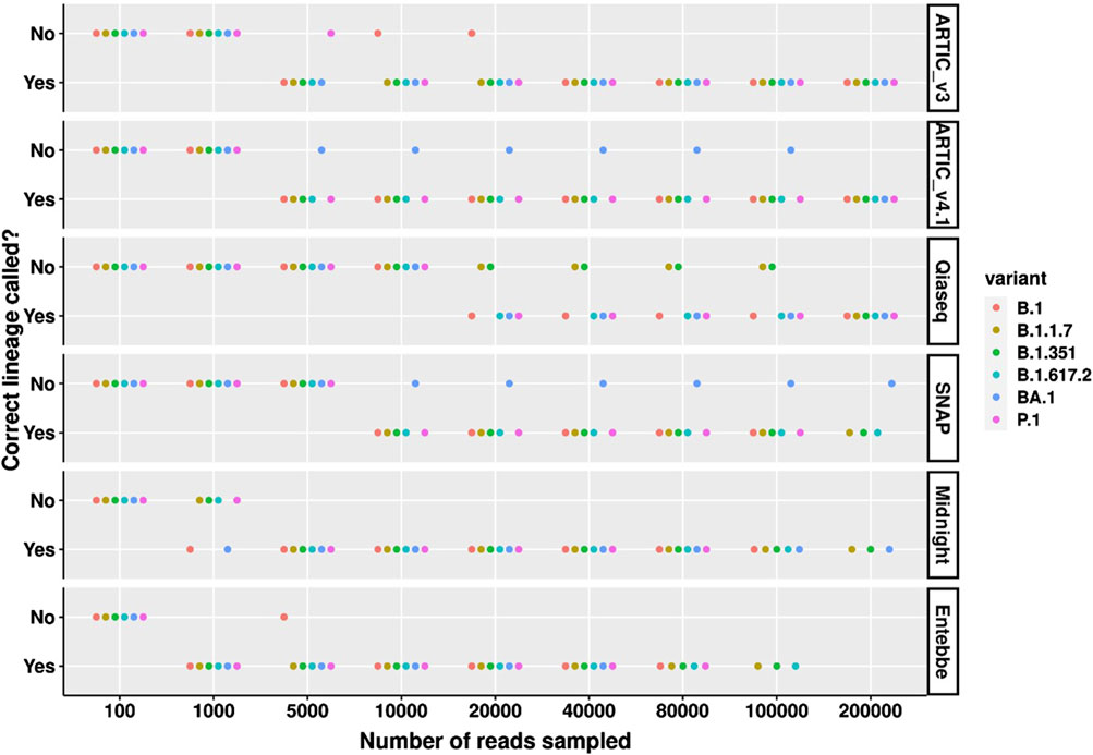 Dot plot showing the correct lineage detection across various sampling depths for different sequencing protocols: ARTIC v3, ARTIC v4.1, Qiaseq, SNAP, Midnight, and Entebbe. Each row shows