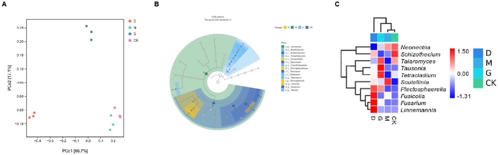 Panel A shows a scatter plot of principal coordinate analysis with groups marked by different colors. Panel B presents a circular cladogram from LefSe analysis, illustrating taxonomic distribution across groups with a legend for taxa. Panel C is a heatmap displaying hierarchical clustering of taxa with color gradients indicating abundance from red to blue. Each taxon is labeled on the left, and groupings, color-coded, are indicated along the bottom.
