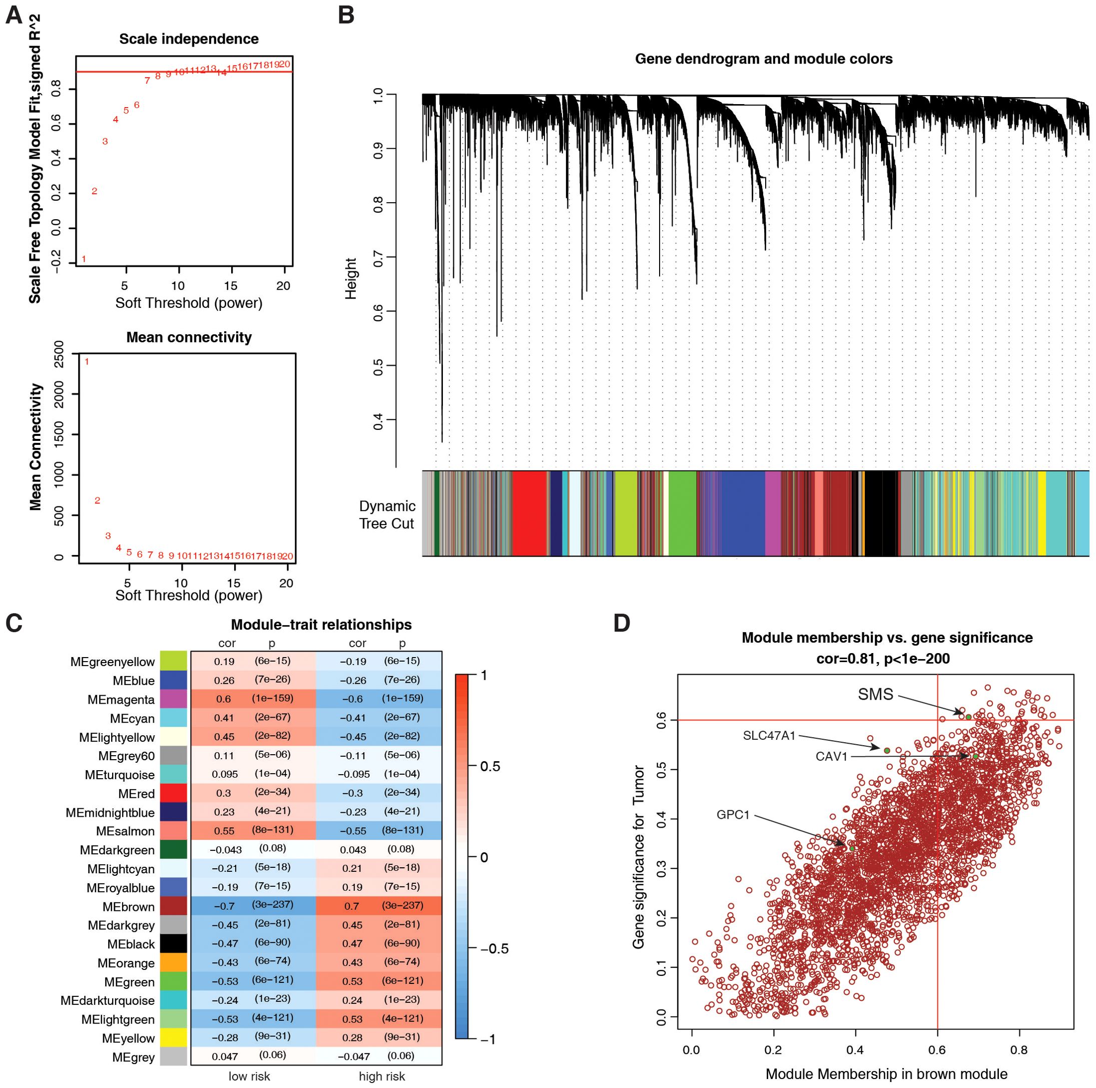 Four-panel scientific diagram detailing gene module analysis. Panel A shows graphs of scale independence and mean connectivity versus soft threshold values. Panel B presents a gene dendrogram with corresponding module colors. Panel C illustrates module-trait relationship heatmaps correlating gene modules with risk types. Panel D depicts a scatter plot showing the correlation between module membership and gene significance, highlighting specific genes like SMS and SLC47A1, with correlation details provided.
