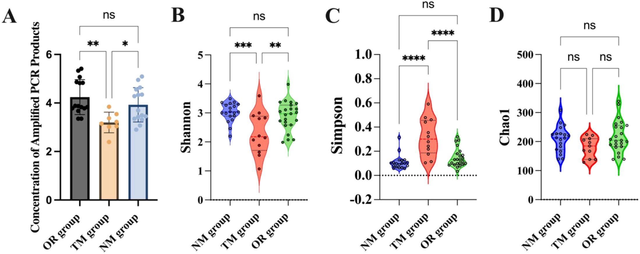 Bar and violin plots comparing three groups (OR, TM, NM) across four metrics. Panel A shows the concentration of amplified PCR products, with significant differences marked. Panel B displays Shannon diversity indices with significant differences noted. Panel C illustrates Simpson diversity indices with high significance differences. Panel D presents Chao1 richness estimates, with no significant differences detected. “NS” indicates non-significance, and asterisks denote varying levels of statistical significance.