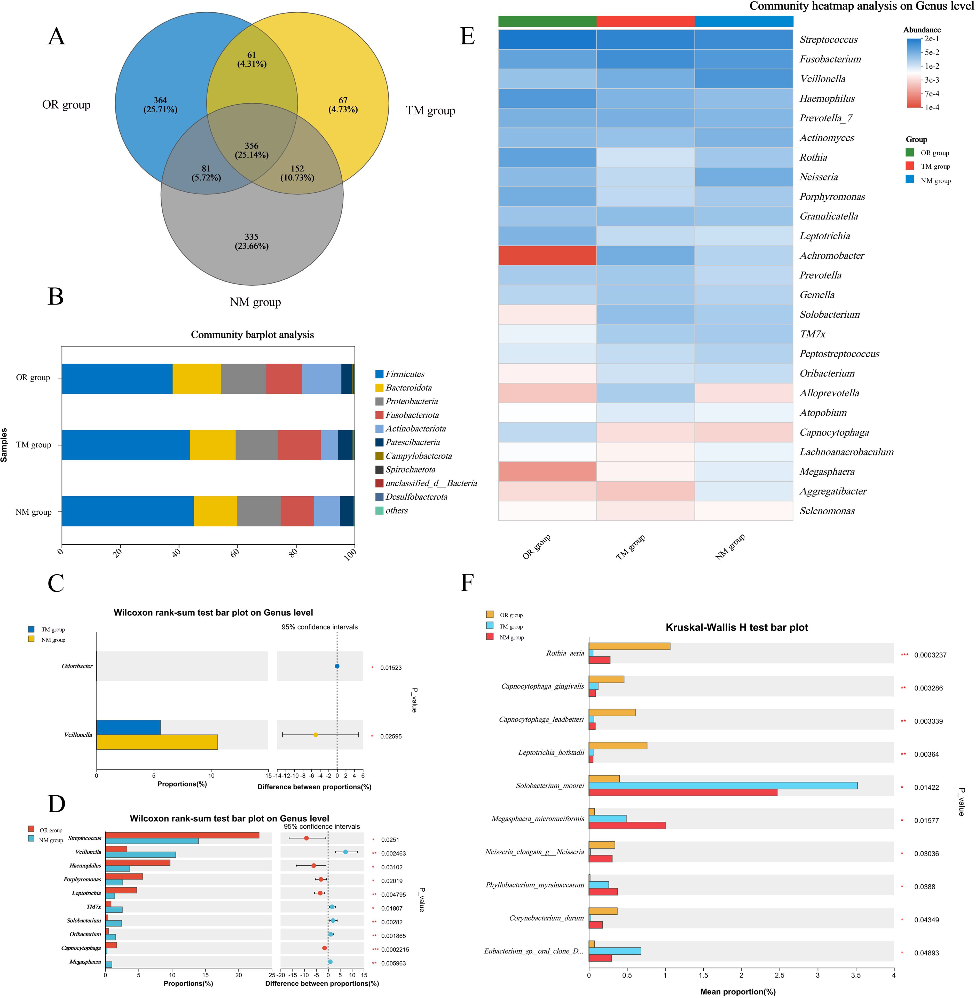 Venn diagram, bar plots, and heatmap illustrate microbiota data from OR, TM, and NM groups. (A) Venn diagram shows overlapping features. (B) Community bar plot displays bacterial composition. (C) and (D) Wilcoxon rank-sum test plots show genus-level differences. (E) Heatmap visualizes genus-level abundance across groups. (F) Kruskal-Wallis H test bar plot highlights significant variations.