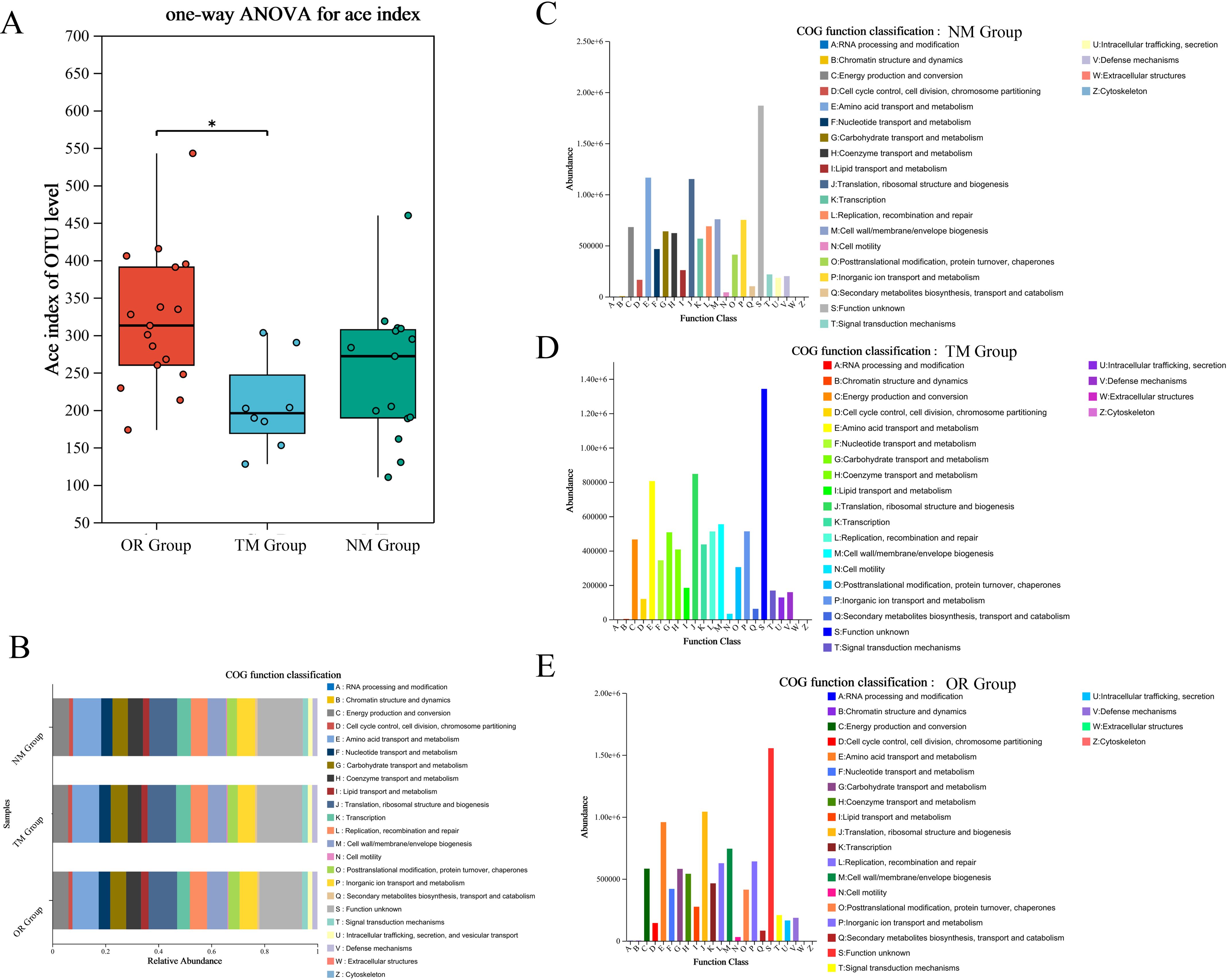 A composite image with multiple panels: A) Box plot comparing ace index of OTU levels in OR, TM, and NM groups, showing significant differences. B) Stacked bar chart of COG function classification across three groups, indicating relative abundance. C, D, E) Bar charts displaying COG function classification abundances for NM, TM, and OR groups, with color-coded function categories in the legend.