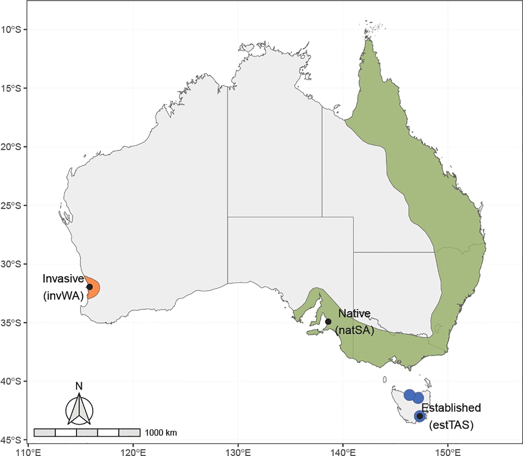 Map of Australia showing regions of different statuses for a species. Green areas represent native regions (natSA), orange areas indicate invasive regions (invWA), and blue areas show established regions (estTAS). The map includes a scale and compass.