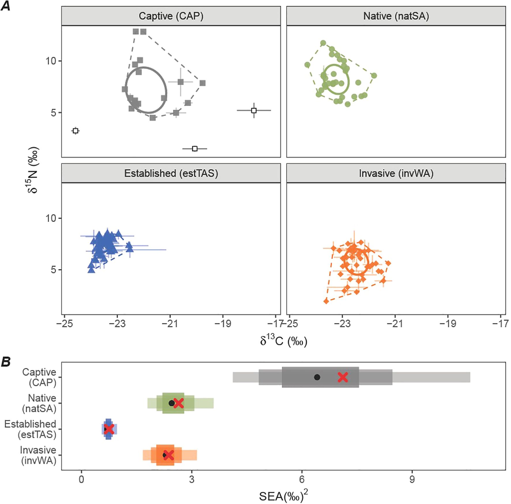 Four scatter plots labeled “Captive,” “Native,” “Established,” and “Invasive” show δ¹⁵N versus δ¹³C in various colors and shapes. Below, a box plot compares Stable Isotope Ellipse Area (SEA) among groups, marked with crosses and circles.