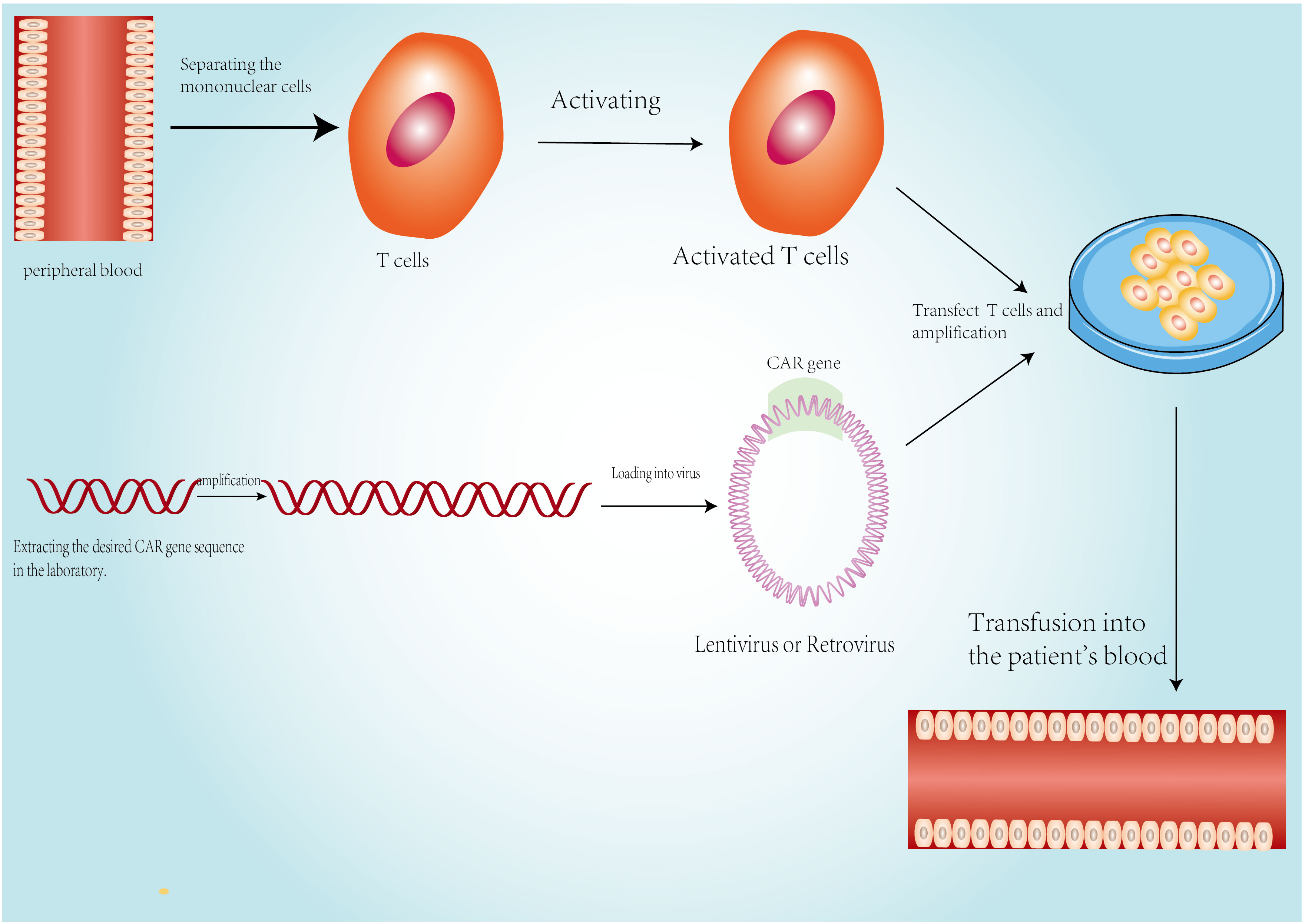 Frontiers | Immunocytes in the tumor microenvironment