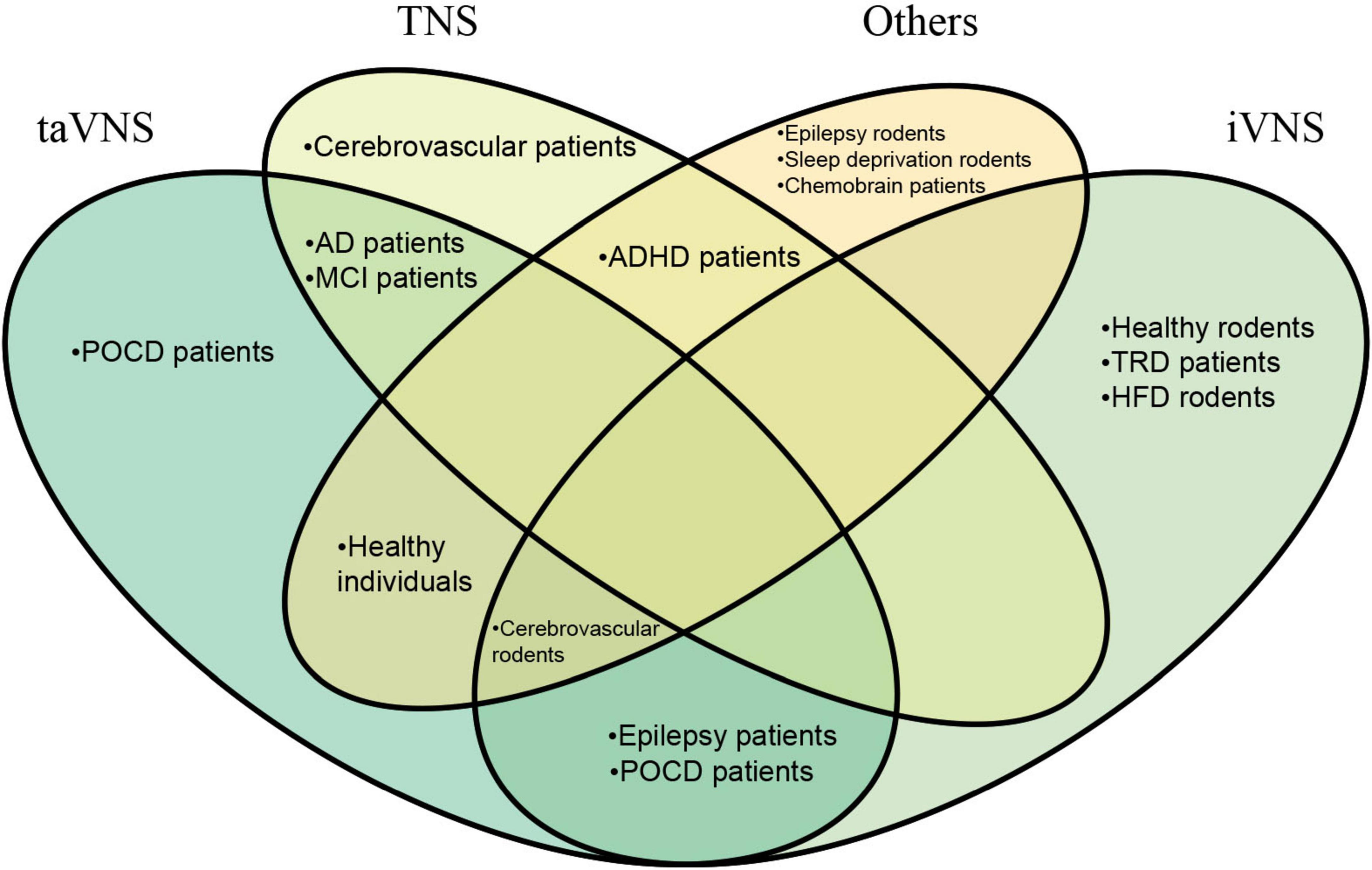 A Venn diagram with three overlapping ovals labeled “taVNS,” “TNS,” and “iVNS.” It shows different patient and rodent groups such as “Cerebrovascular patients,” “ADHD patients,” “Healthy rodents,” and “Epilepsy patients.” The intersections highlight shared groups, including “Healthy individuals” and “Cerebrovascular rodents.” Each section lists relevant groups, demonstrating relationships among the categories.