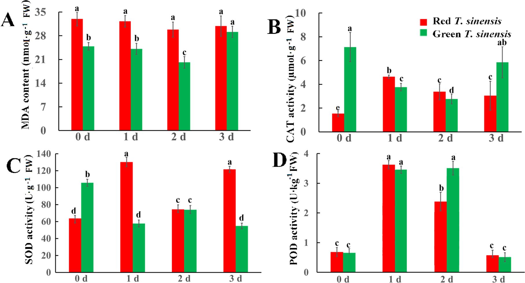 Four bar charts labeled A, B, C, and D displaying changes in MDA, CAT, SOD, and POD activities over four days for red and green *T. sinensis*. Red bars represent red *T. sinensis*, and green bars represent green *T. sinensis*. Error bars and letters indicate statistical significance.