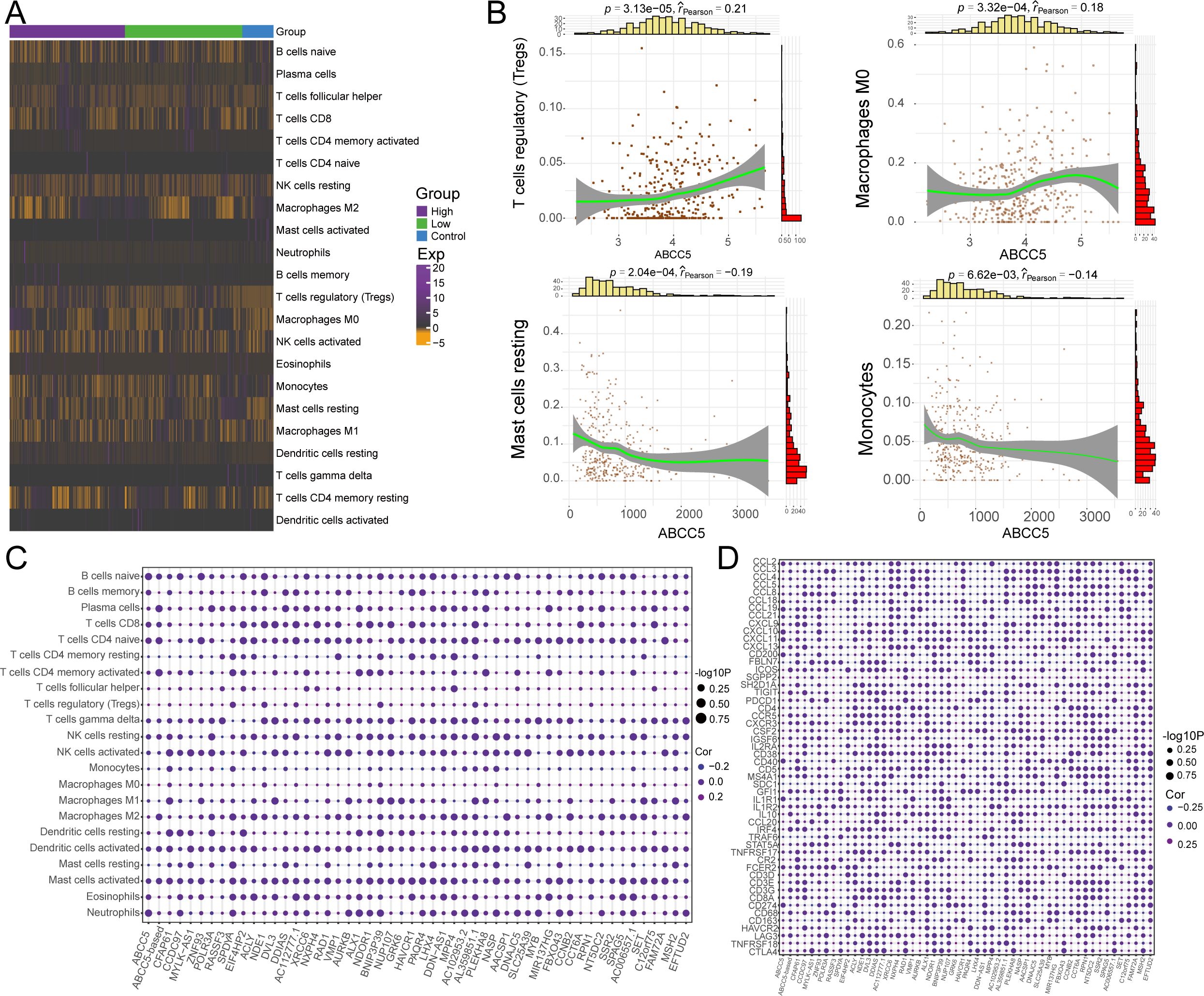 A series of data visualizations related to gene expression and cell types: A. Heatmap showing the expression levels of various cell types across three groups: High, Low, and Control, with a color gradient indicating expression levels from -5 to 20. B. Four scatter plots with fitted lines and histograms depicting the correlation between ABCC5 expression and cell populations (T cells regulatory, Macrophages M0, Mast cells resting, and Monocytes), with statistical annotations. C. Dot plot illustrating correlation and significance between cell types and genes, with dot size representing -log10 of P-values and color indicating correlation strength. D. Expanded dot plot, similar to C, but with a larger variety of genes and cell types.