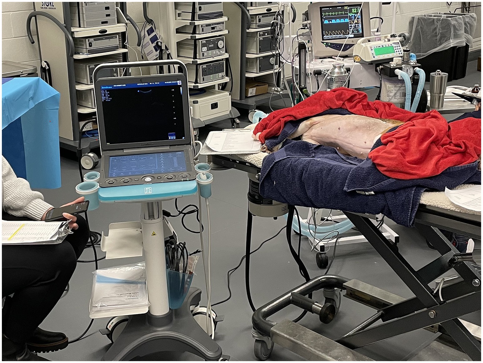 Frontiers Abdominal thoracic and cardiac point of care ultrasound Frontiers Abdominal thoracic and cardiac point of care ultrasound