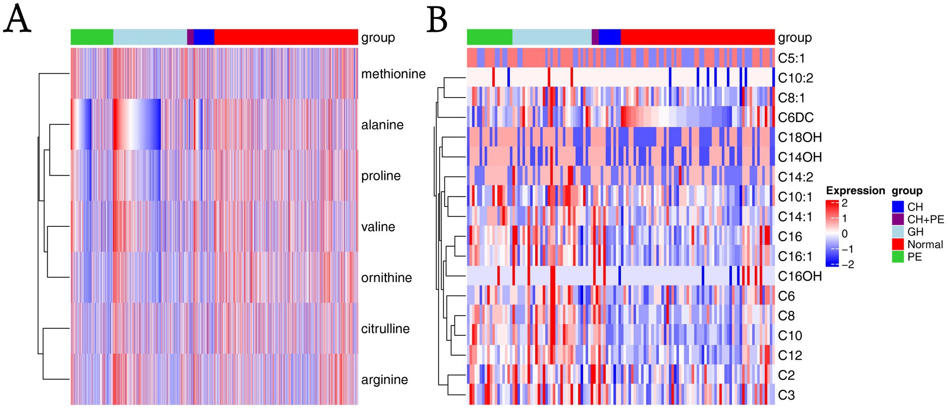Two heatmaps labeled A and B, showing data clusters. Heatmap A displays amino acids on the y-axis, including methionine and arginine, with a gradient from red to blue indicating expression levels. Heatmap B features various compounds on the y-axis, such as C5:1 and C3, with a similar color gradient. Both heatmaps have color-coded groupings on top, representing different expression groups: CH, CH+PE, GH, Normal, and PE. A legend shows expression levels from -2 to 2.