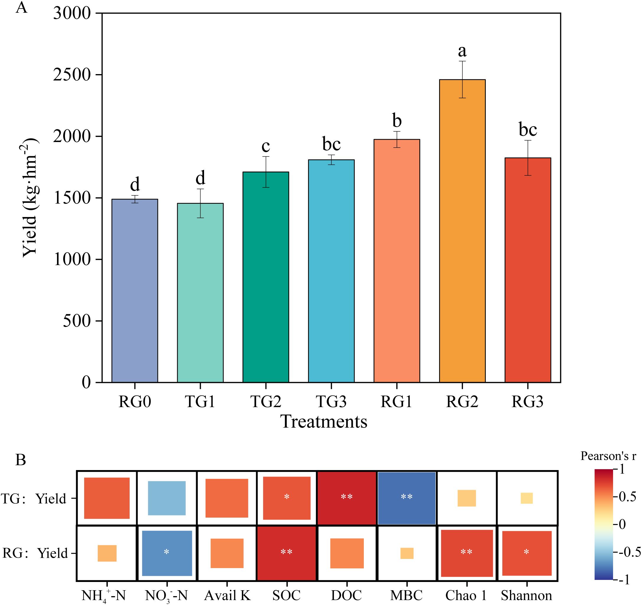 Bar chart (A) shows yield in kilograms per hectare across different treatments, with RG2 having the highest yield. A correlation matrix (B) displays relationships between TG/RG yield and soil parameters, with colors depicting Pearson's r values from -1 to 1.