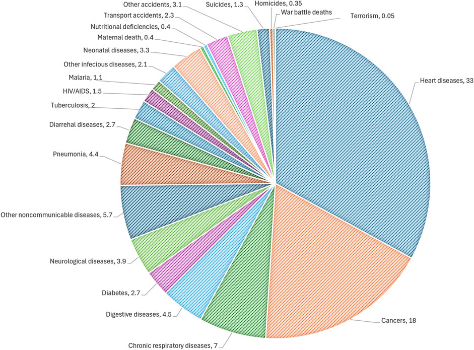 Pie chart illustrating global causes of death percentages. Heart diseases are the largest at thirty-three percent, followed by cancers at eighteen percent. Other notable causes include chronic respiratory diseases at seven percent, other noncommunicable diseases at five point seven percent, and pneumonia at four point four percent. Other causes include accidents, diabetes, and infectious diseases, with varied smaller percentages, such as terrorism at zero point zero five percent.
