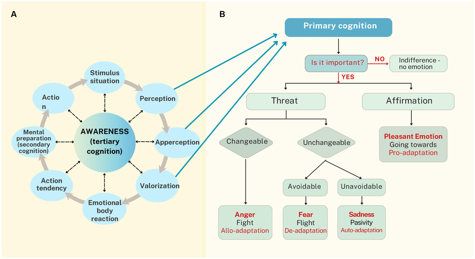 Diagram illustrating emotional cognition. Part A shows a circular flow starting with "Stimulus situation" to “Perception” to “Apperception” to “Valorization” leading to “Emotional body reaction”, then “Action tendency”, and “Mental preparation” ending in “Action”, highlighting “Awareness” in the center. Part B displays a decision flow starting with "Primary cognition", asking "Is it important?”, leading to “Indifference” if no, or branching into "Threat" and "Affirmation" if yes. "Threat" is divided into "Changeable" leading to "Anger", or "Unchangeable" leading to "Fear" and "Sadness". "Affirmation" leads to "Pleasant Emotion".