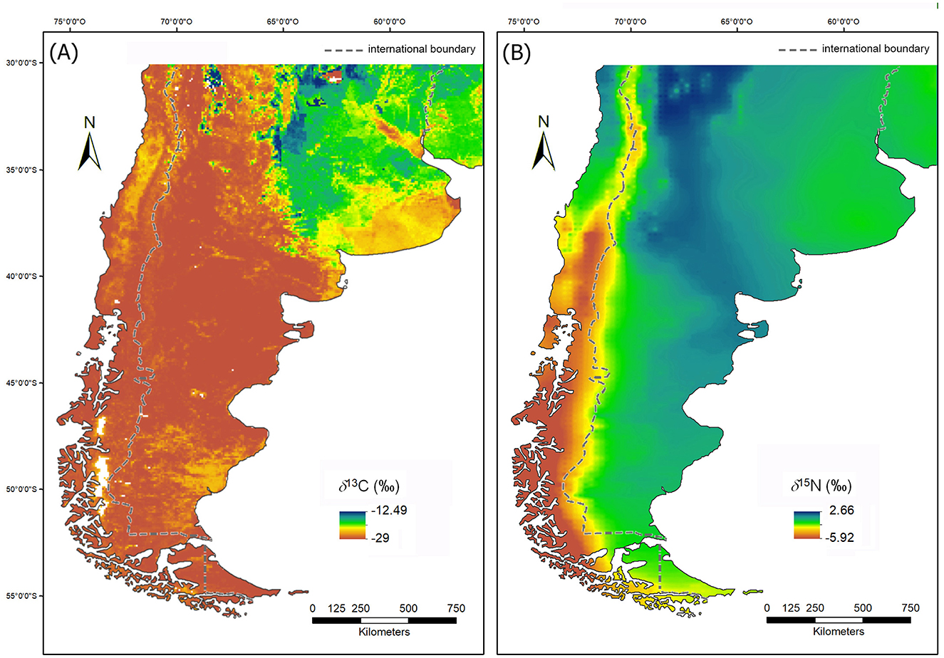Two maps of southern South America display isotopic compositions. Map A shows δ13C values ranging from -29 (low, brown) to -12.49 (high, blue). Map B illustrates δ15N values from -5.92 (low, brown) to 2.66 (high, blue). Both maps include international boundaries and a scale bar.