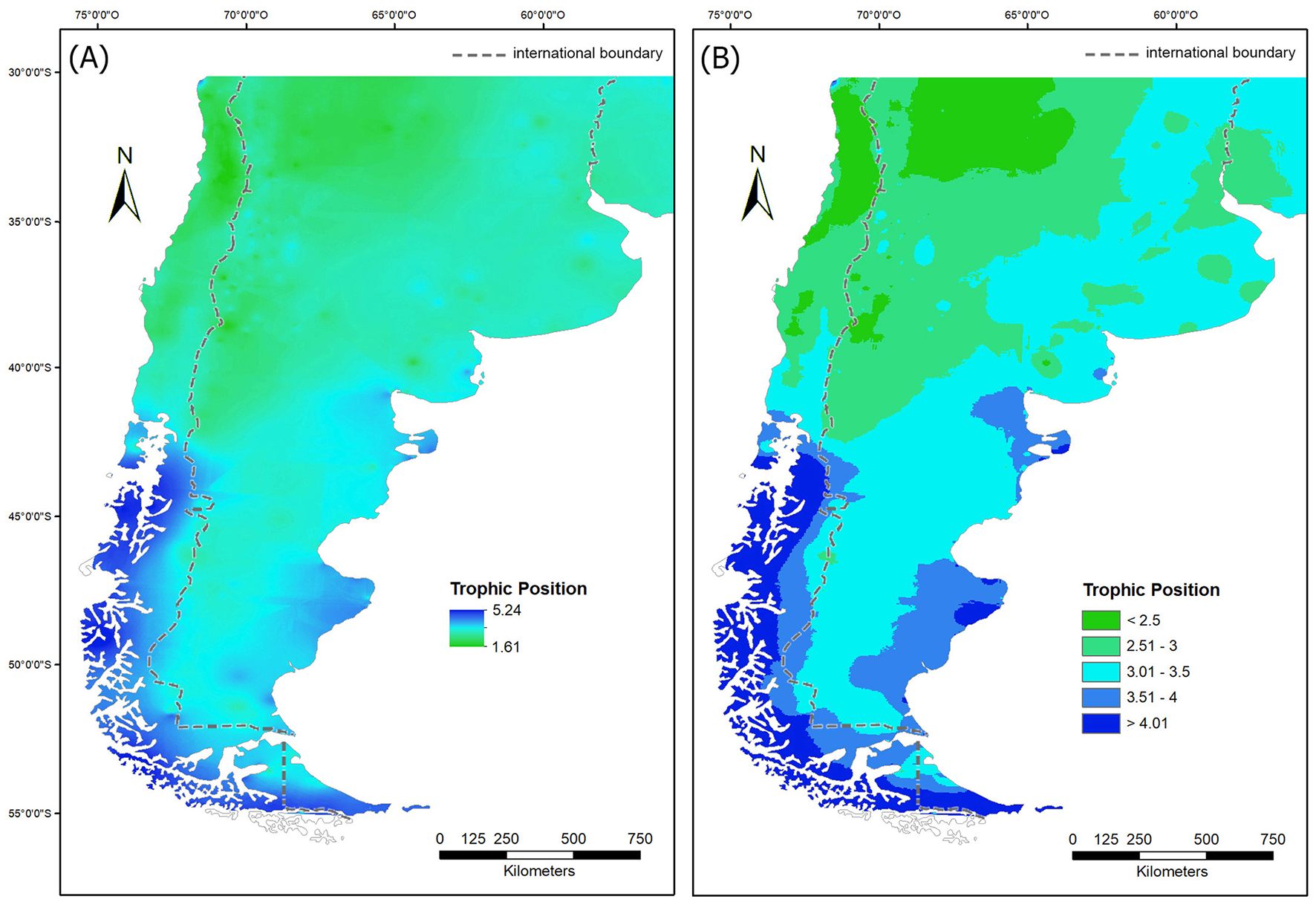 Comparison of two maps labeled A and B, depicting the trophic position along southern South America. Both maps have a color gradient from green to blue representing trophic positions from 1.61 to 5.24. International boundaries are marked, and a scale in kilometers is provided. Map A shows a broad range of lighter colors, while map B displays distinct regional color variations indicating different trophic levels.