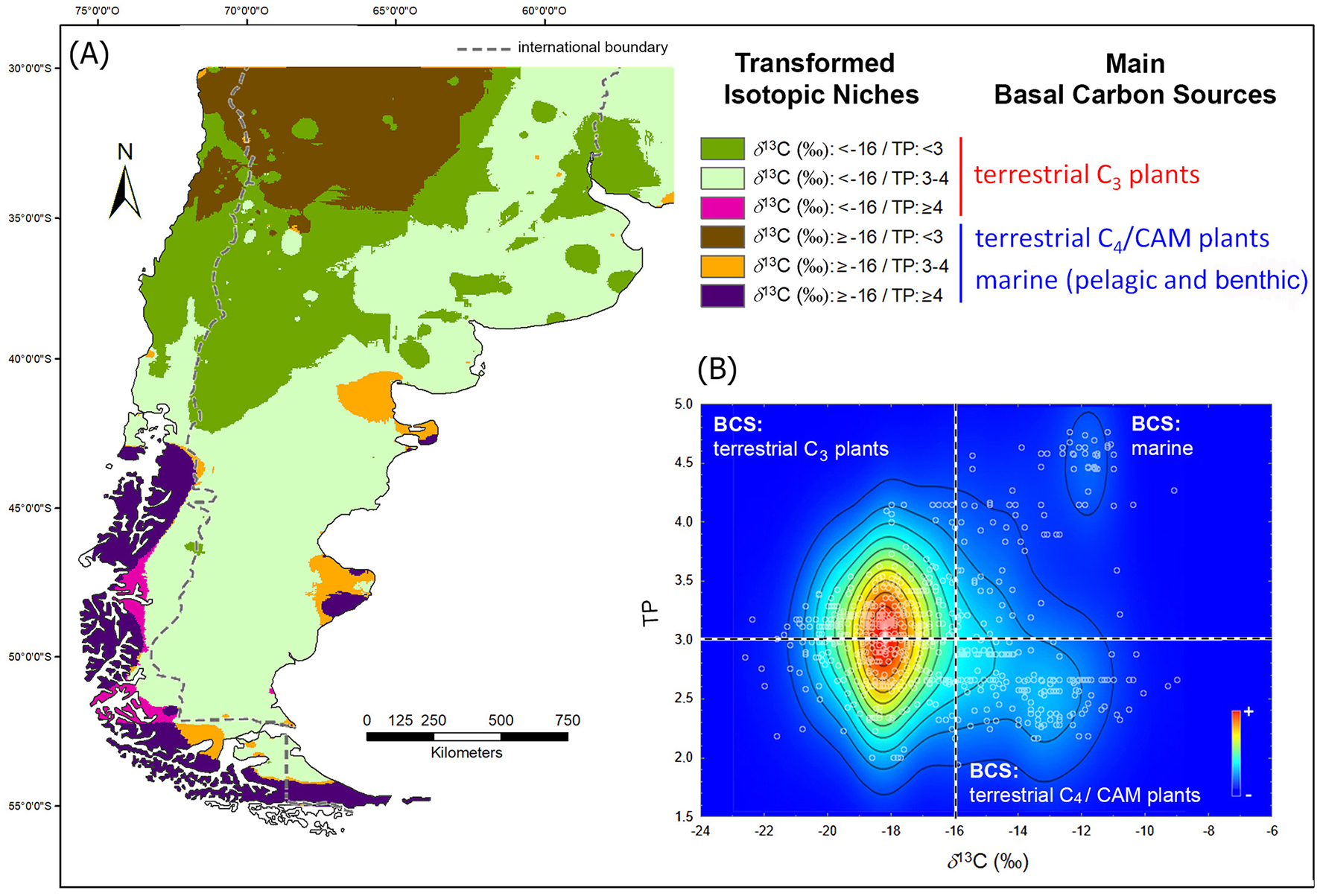 Map and graph depicting isotopic niches Eliminar. Panel A shows a map of South America colored to indicate different isotopic niches and basal carbon sources, such as terrestrial C3 and C4/CAM plants, and marine sources. Panel B presents a graph with δ13C on the x-axis and TP on the y-axis, highlighting different carbon source zones, with color gradients indicating density.