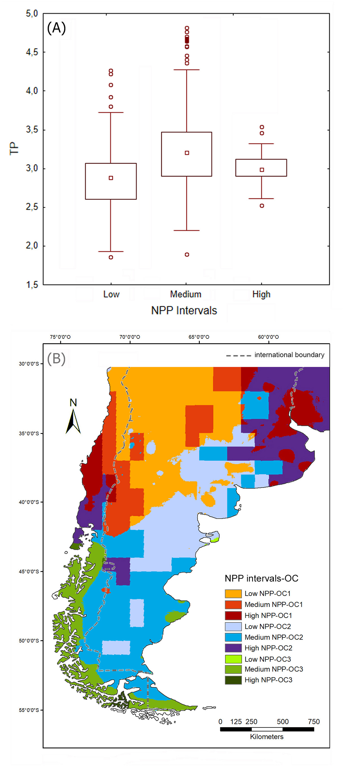 (A) Boxplot showing TP values for low, medium, and high NPP intervals. The distribution indicates variability with medians and outliers. (B) Map indicating NPP intervals across southern south America, distinguished by color codes for different NPP-OC categories, with an international boundary marked by a dashed line.